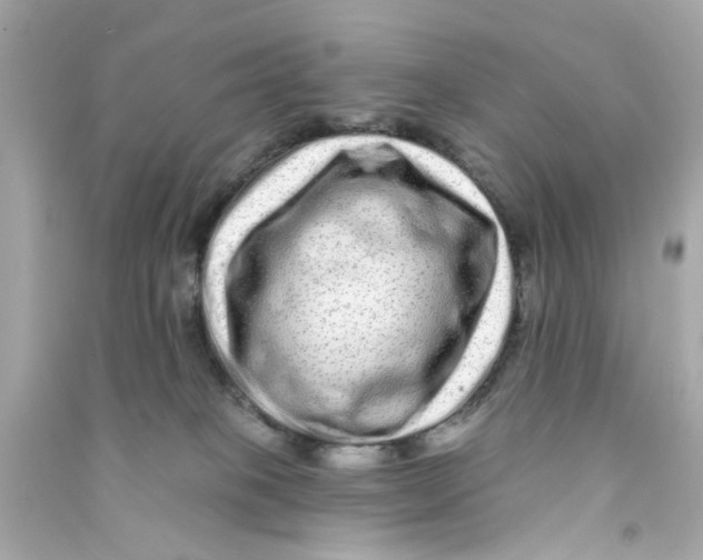 X0000090500085200708102250
