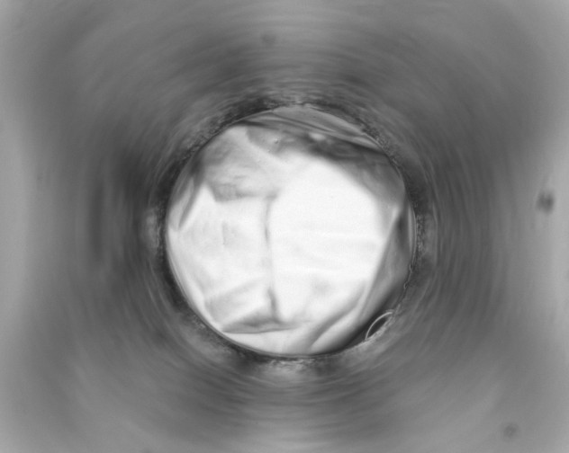 X0000090500086200708102250