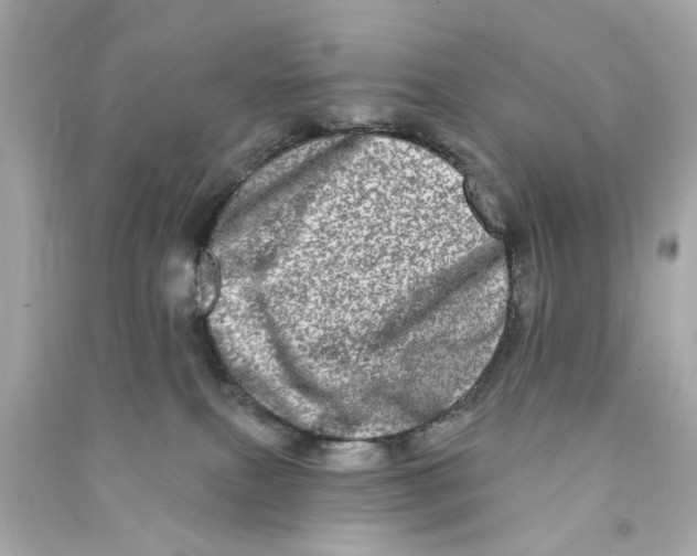 X0000090500087200708102250