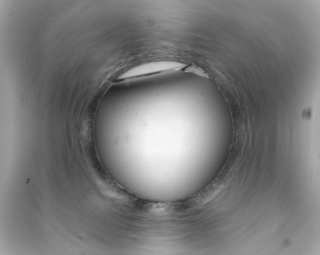 X0000090500088200708102250