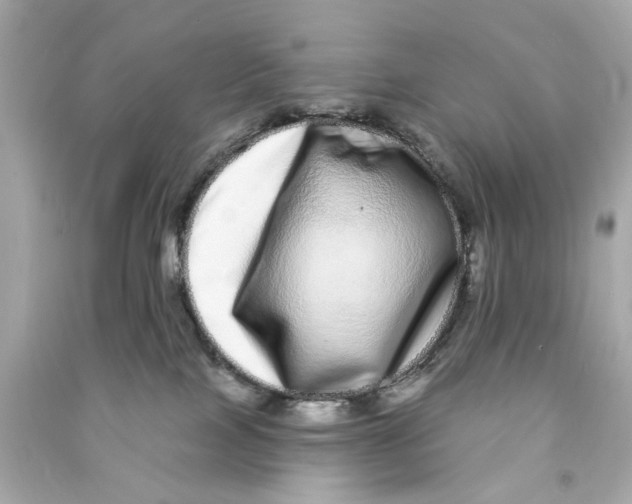 X0000090500089200708102250