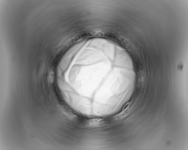 X0000090500090200708102250