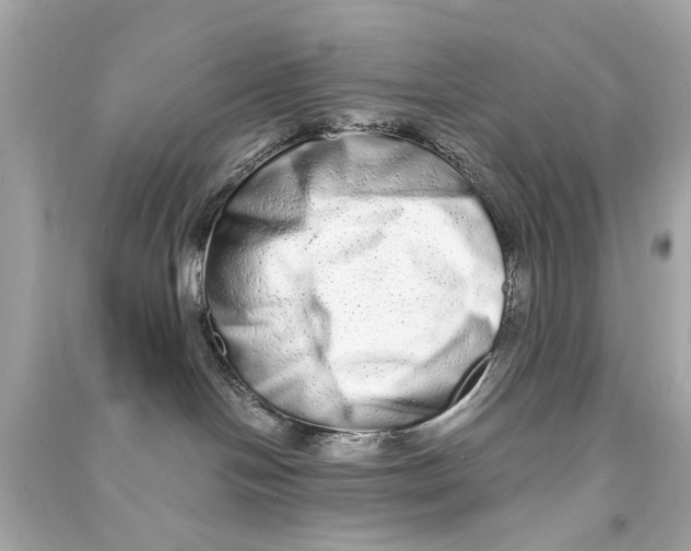 X0000090500094200708102250