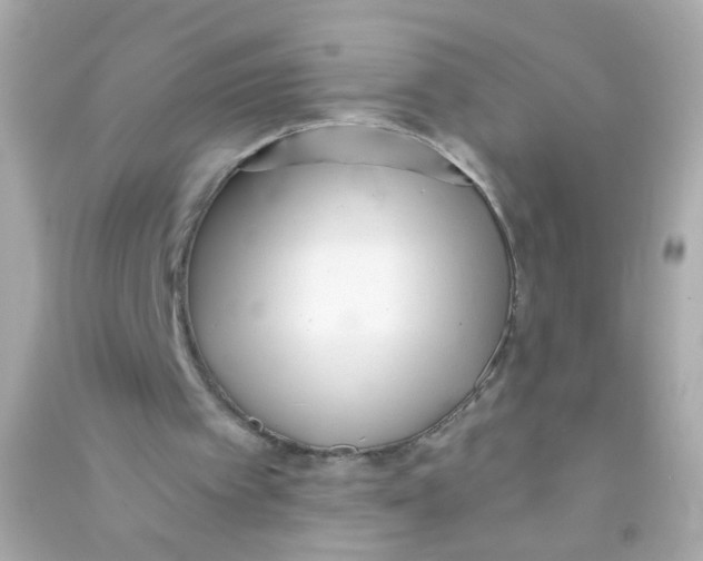 X0000090500097200708102250