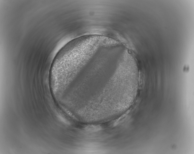 X0000090500099200708102250