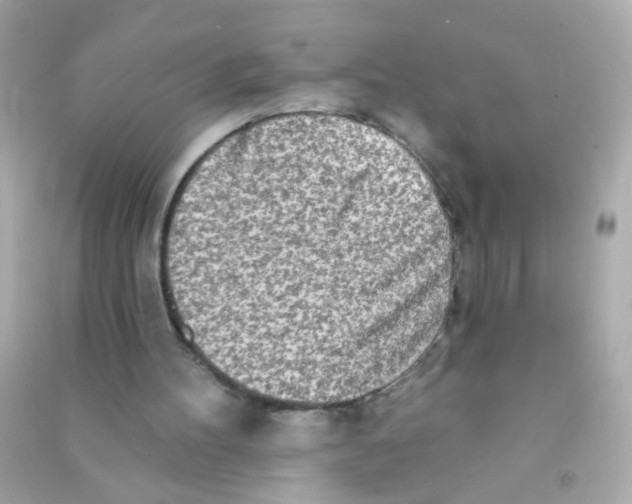 X0000090500100200708102249
