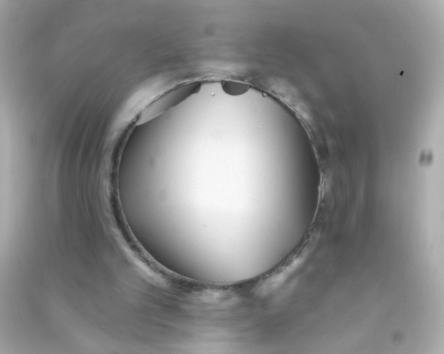 X0000090500101200708102249