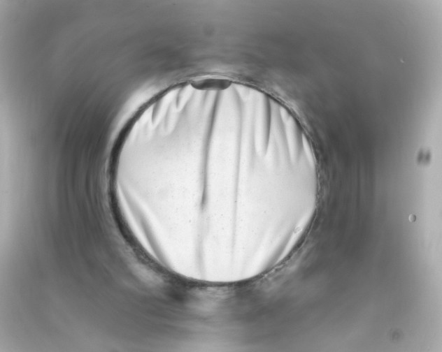 X0000090500102200708102249