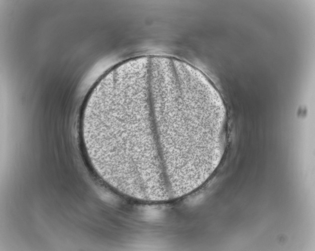 X0000090500103200708102249