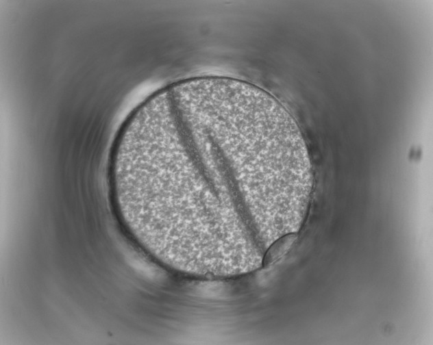 X0000090500104200708102249