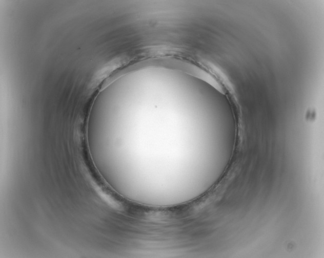 X0000090500105200708102249