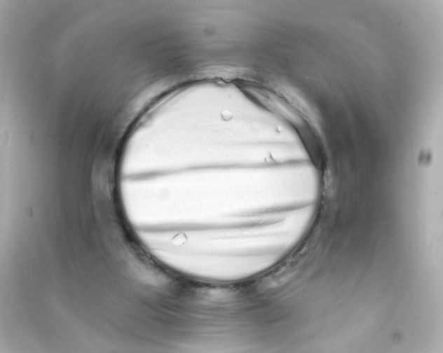 X0000090500107200708102249