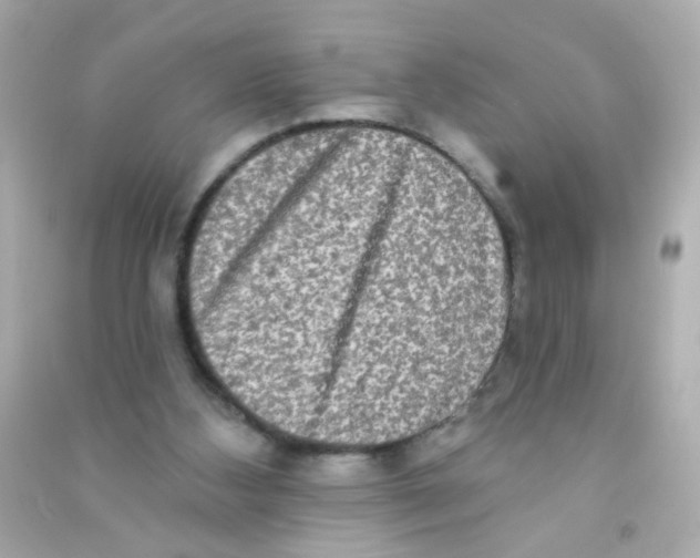 X0000090500108200708102249