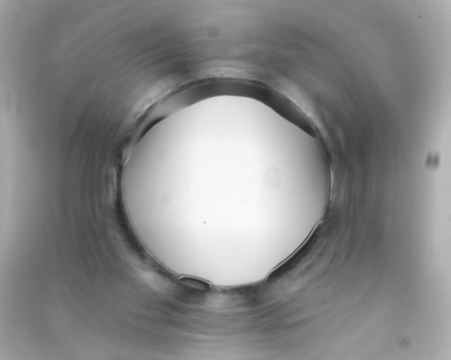 X0000090500109200708102249