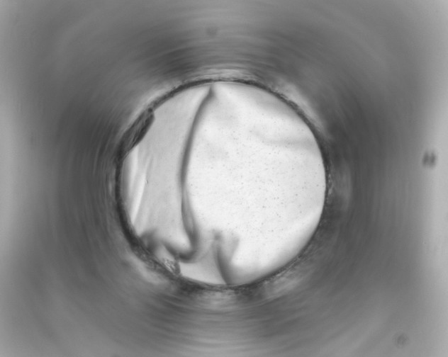 X0000090500110200708102249