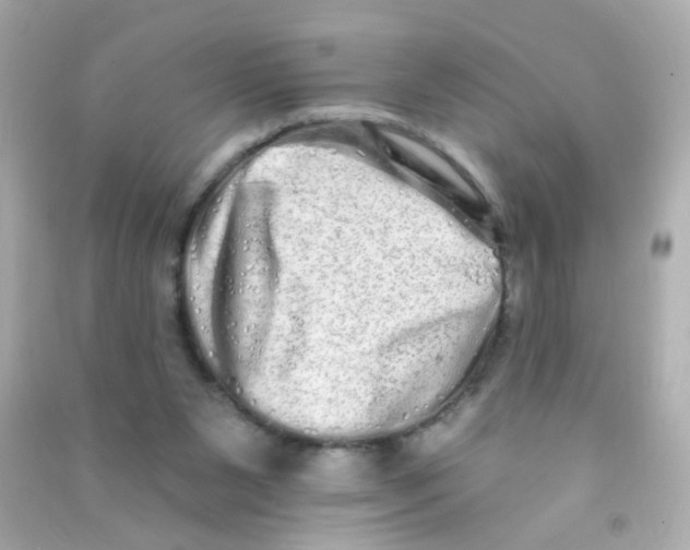 X0000090500111200708102249