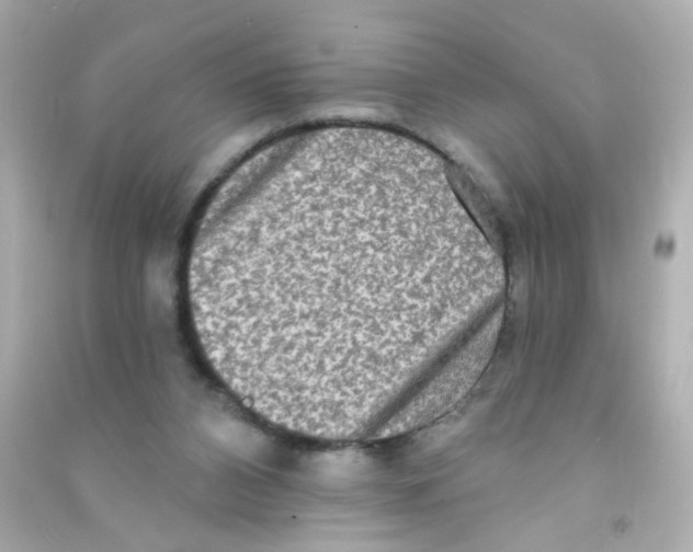 X0000090500112200708102249