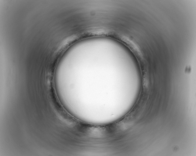 X0000090500115200708102249