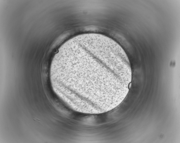 X0000090500116200708102249