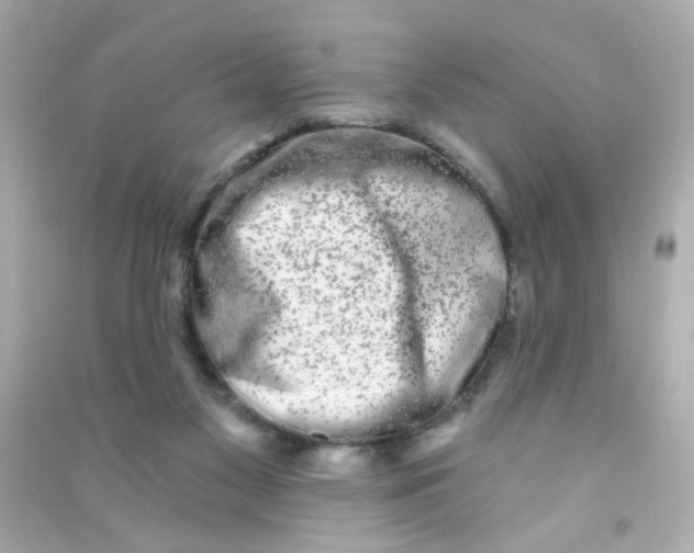 X0000090500117200708102249