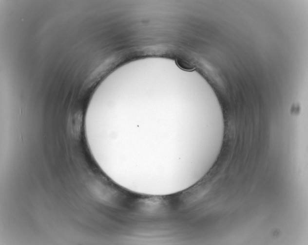 X0000090500118200708102249