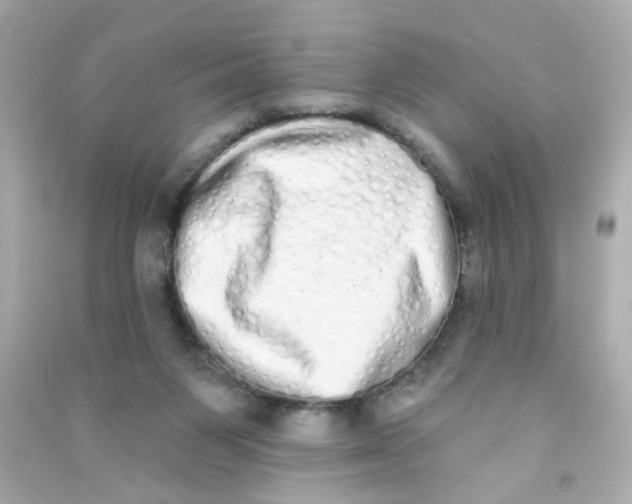 X0000090500119200708102249
