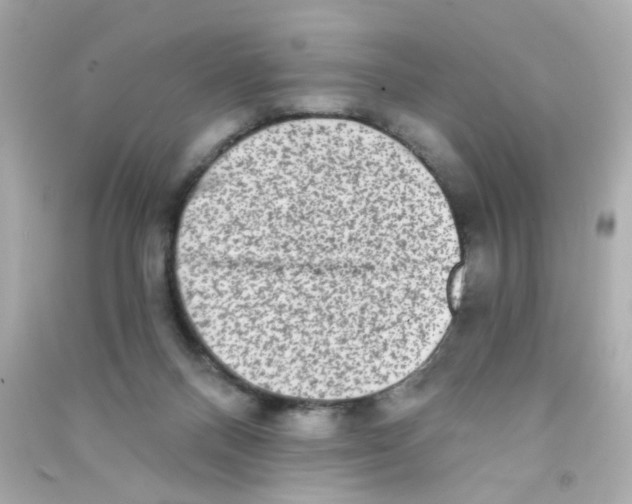 X0000090500120200708102249