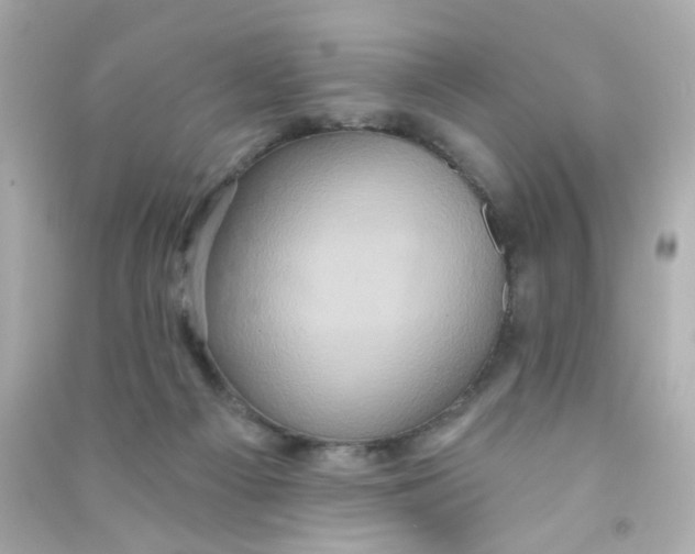 X0000090500121200708102249