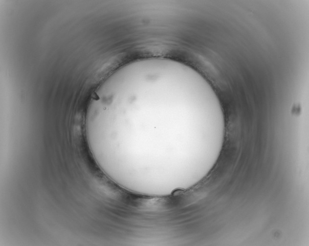 X0000090500122200708102249