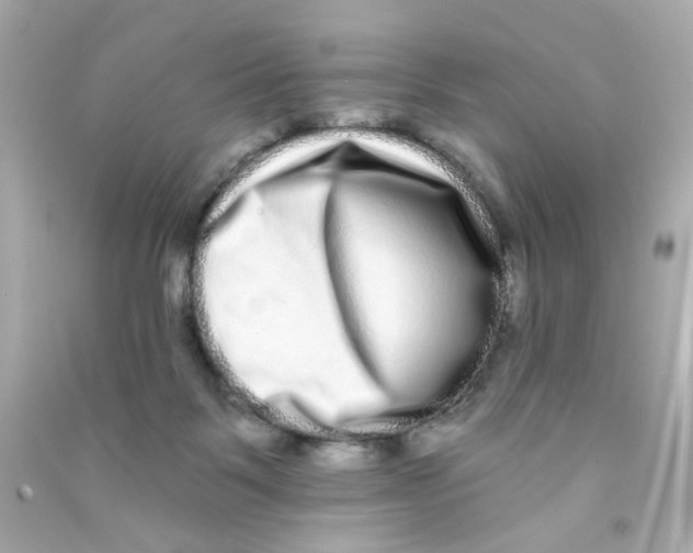 X0000090500123200708102249