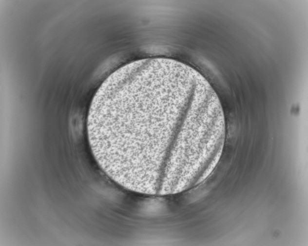 X0000090500124200708102249