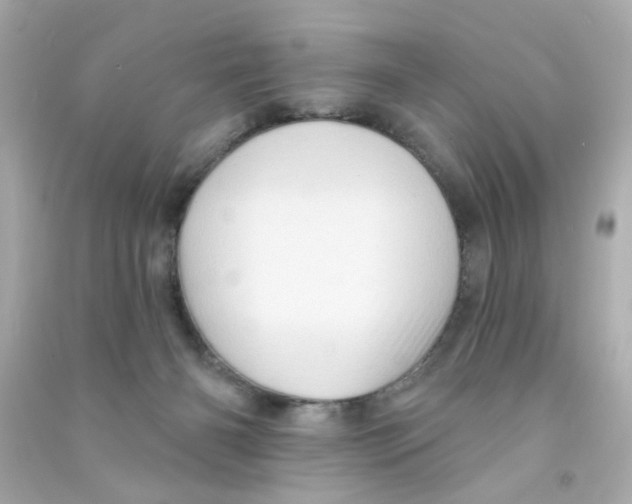X0000090500126200708102249