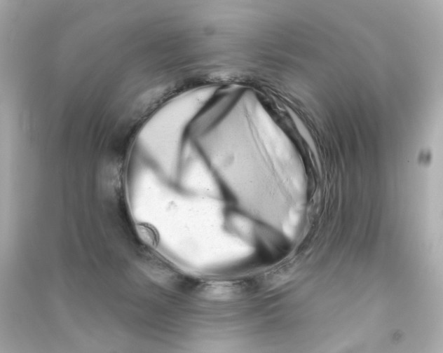 X0000090500127200708102249