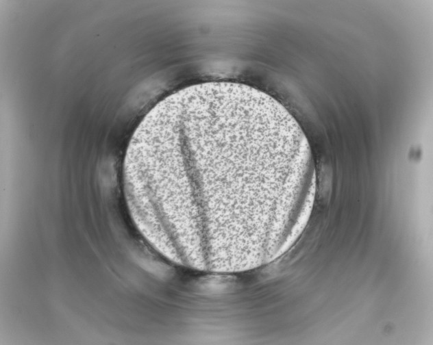 X0000090500128200708102249