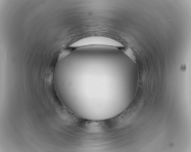 X0000090500129200708102249