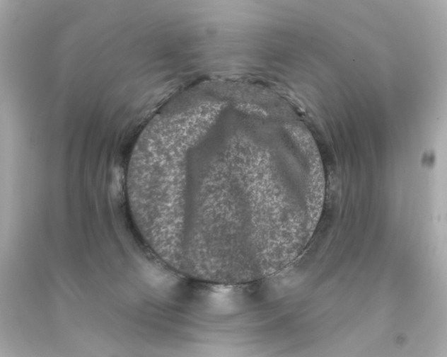 X0000090500130200708102249