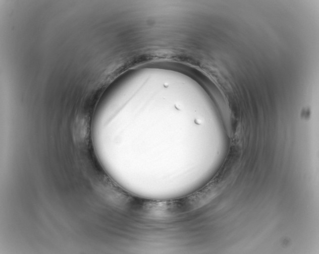 X0000090500131200708102249