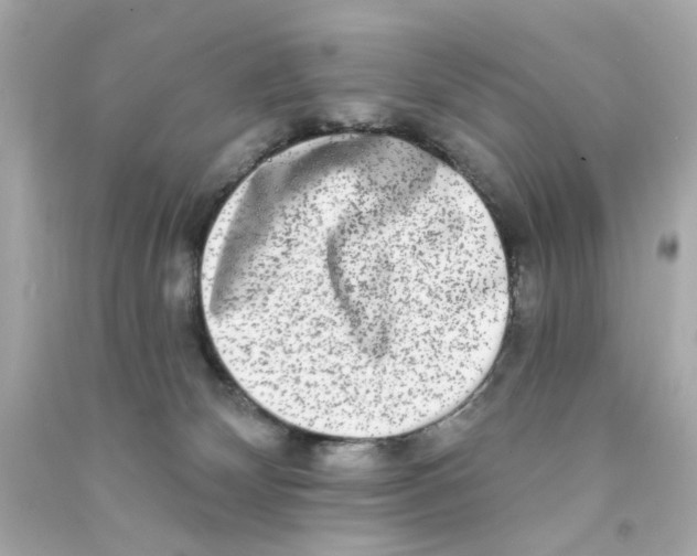 X0000090500132200708102249