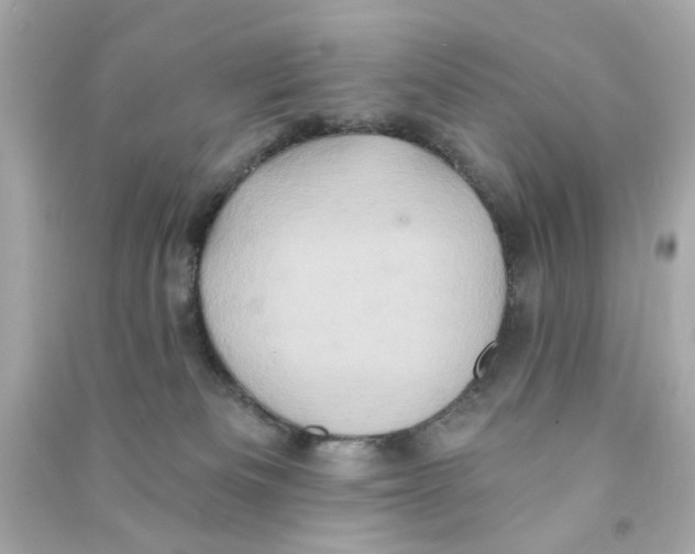 X0000090500133200708102249