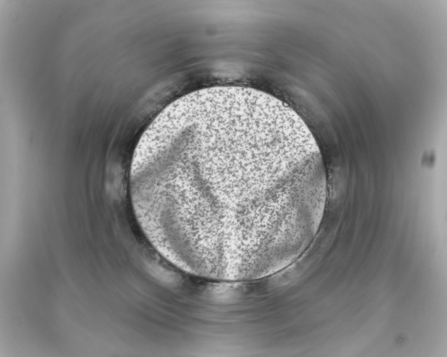 X0000090500136200708102249