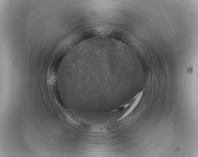 X0000090500137200708102249