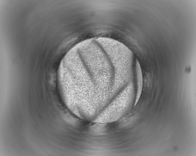 X0000090500138200708102249