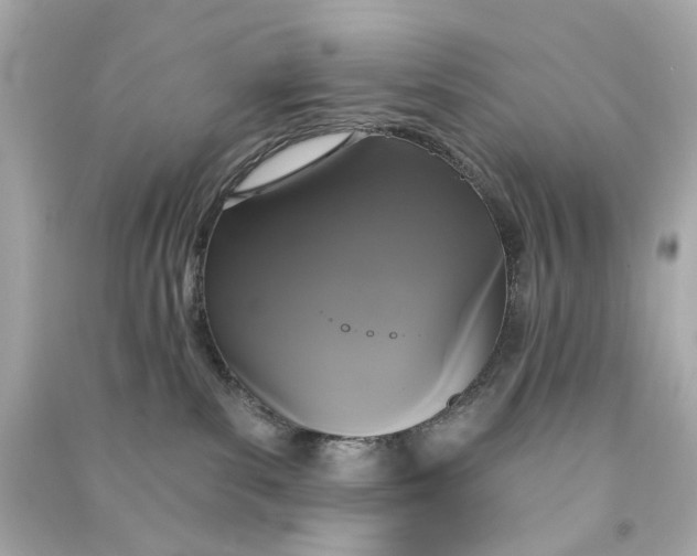 X0000090500139200708102249