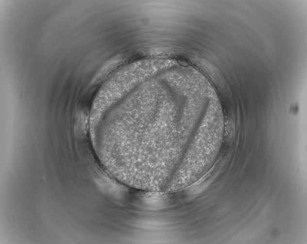 X0000090500142200708102249