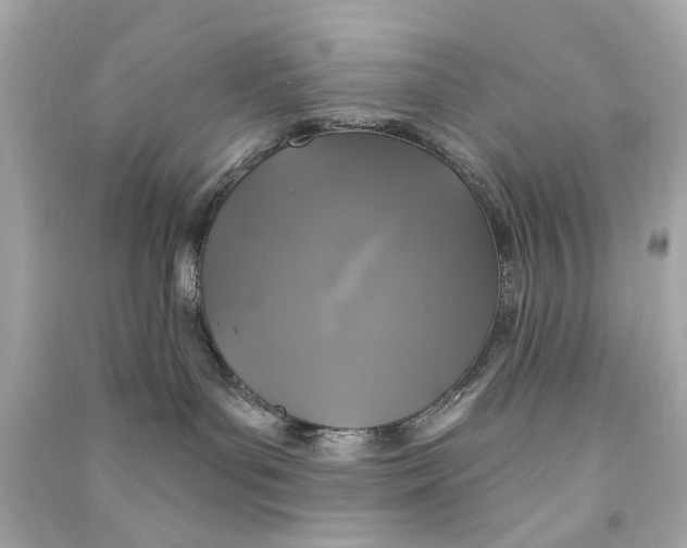 X0000090500143200708102249