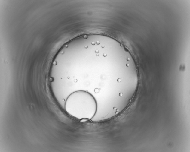 X0000090500145200708102248