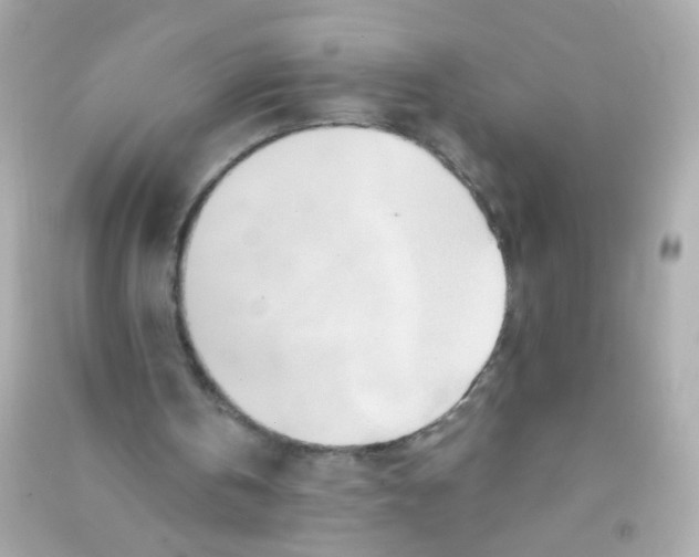 X0000090500146200708102248