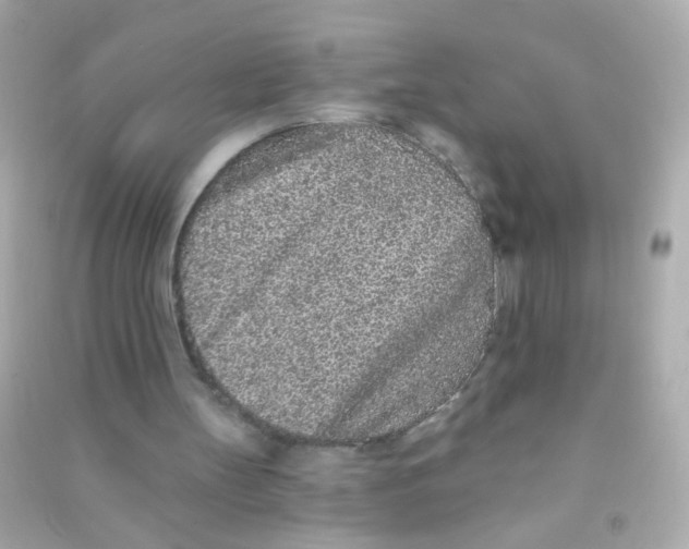 X0000090500147200708102248