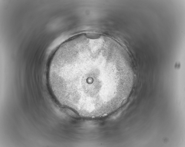 X0000090500149200708102248