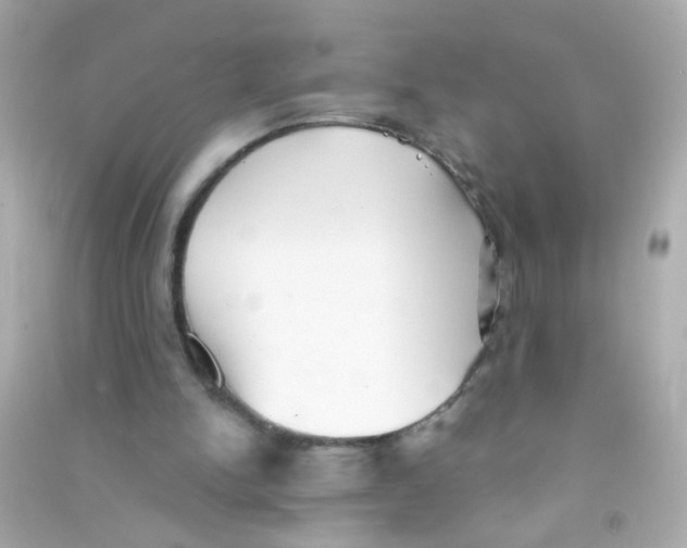 X0000090500150200708102248